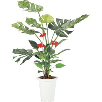 FGN-MS �l�H���� �j�V�L�H�� 28896343