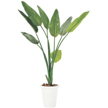 FGN-ST �l�H���� �j�V�L�H�� 28896377