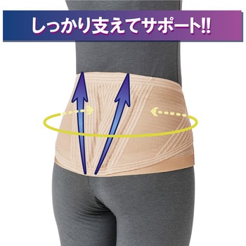ランバックスリム 竹虎