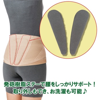 ランバックスリム 竹虎