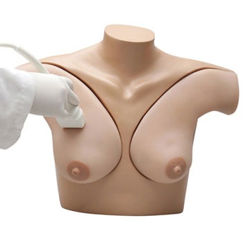L58 乳癌モデル(超音波) 1個 エルラージーマー 【通販モノタロウ】