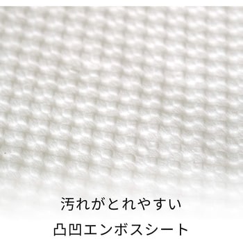 激落ちくん 流せる除菌トイレクリーナー大判 レック(LEC)