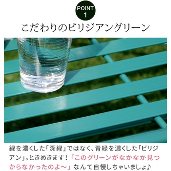 アイアン製ローテーブル単品販売 「Sunny Leaf(サニーリーフ)」 - 住まいスタイル