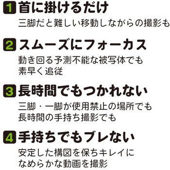 ビデサポ エツミ