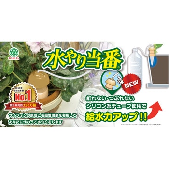 水やり当番M 10個 ダリヤ