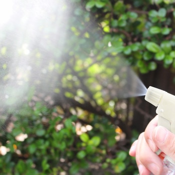 ザ・霧吹き (振り子式) ダリヤ