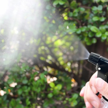 ザ・霧吹き (振り子式) ダリヤ