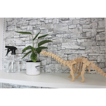 ザ・霧吹き (振り子式) ダリヤ