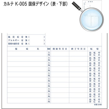 カルテ用紙 1号(診療録) 国保 (保険証添付欄ありタイプ) 金鵄製作所