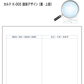 カルテ用紙 1号(診療録) 国保 (保険証添付欄ありタイプ) 金鵄製作所