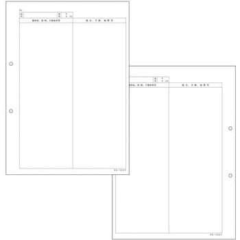 41911-003 カルテ2号紙A4SK-402Y穴あき 金鵄製作所 1箱(500枚) 41911