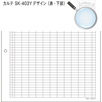 カルテ用紙 3号 2穴あきタイプ 金鵄製作所
