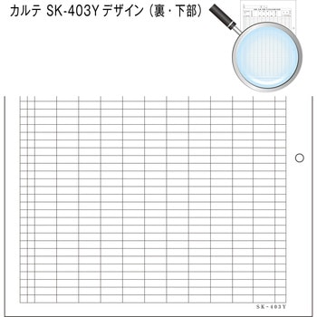 カルテ用紙 3号 2穴あきタイプ 金鵄製作所