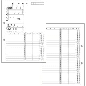 カルテ用紙 1号(診療録) 保険証添付欄あり・2穴あきタイプ 金鵄製作所