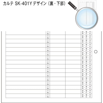 カルテ用紙 1号(診療録) 保険証添付欄あり・2穴あきタイプ 金鵄製作所