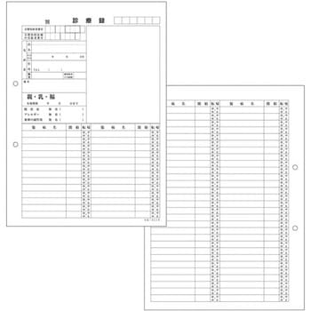 カルテ用紙 1号(診療録) 保険証添付欄あり・2穴あきタイプ 金鵄製作所