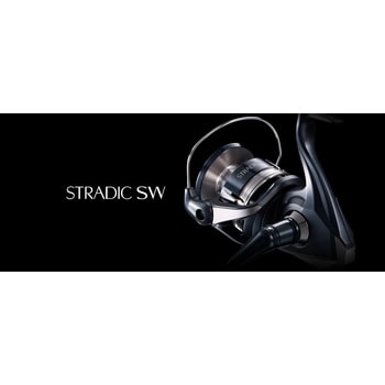 4000XG STRADIC SW ストラディックSW 1個 SHIMANO(シマノ) 【通販 