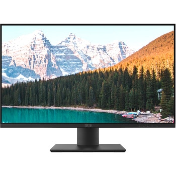 IPSパネル搭載フルHD液晶モニター フィールドスリー