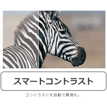液晶ディスプレイ 27型/1920×1080/HDMI、D-Sub/ブラック/スピーカー：なし Philips