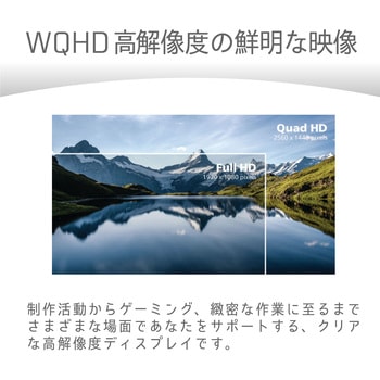 液晶ディスプレイ 31.5型/2560×1440/HDMI、DisplayPort、USB Type-C/ブラック/スピーカー：あり Philips