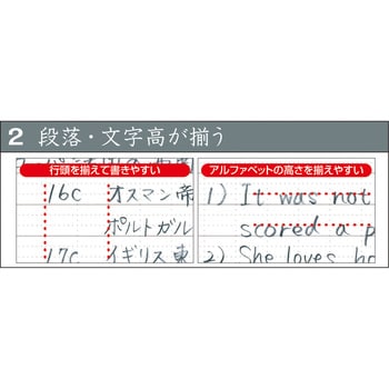 LL-B504S ロジカルエアー ルーズリーフ 1冊 ナカバヤシ 【通販サイト