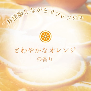 激落ちくん キッチンクリーナー 泡スプレー LEC(レック)