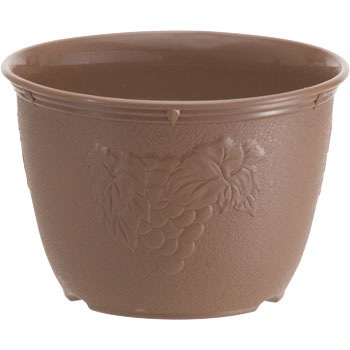 - �A�ؔ� �r�I���f�R �R�c���w 29194428