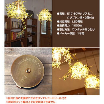 CC-40357 クリプトン電球付 ボタニック ボタニカル ペンダント