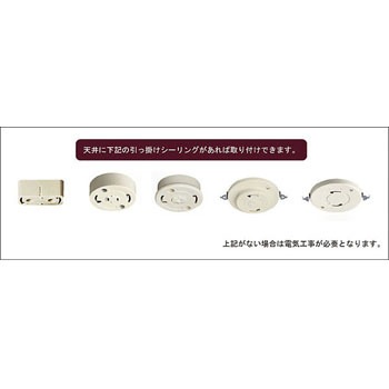 CC-40357 クリプトン電球付 ボタニック ボタニカル ペンダントライト 3