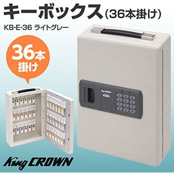 KB-E-36 プッシュボタン式 鍵保管 キーボックス (36本掛け) 日本アイ