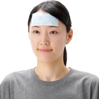 ケアナビ 熱とりタックん 大人用 新タック化成