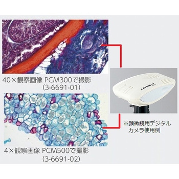 【レンタル】ECプランレンズ生物顕微鏡 三眼 40～1000× MP38T アズワン