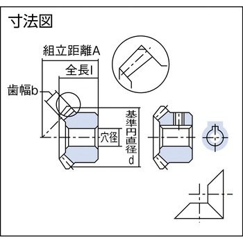 マイタ 協育歯車