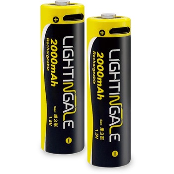 LEDハンディフラッシュライト・単3形2本 ライティンゲイル