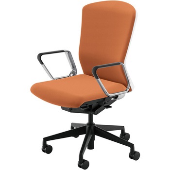 5-355-5661 Elfie(GtB)/ELA2_NXobN_zCgt[_nCobN cms 29393527