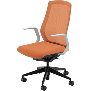 5-356-2147 Sellezza(�Z���b�c�@)/SA_�z���C�g�t���[�� ���c�m�s �i�C�����L���X�^�[ �N���X���b�V�� 29397237