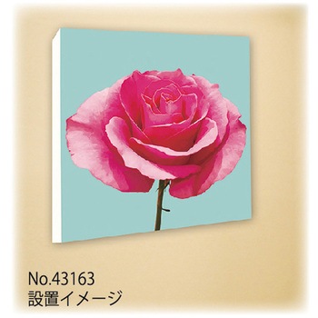 キャンバス Plant P・O・Pプロダクツ