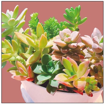 キャンバス Plant P・O・Pプロダクツ