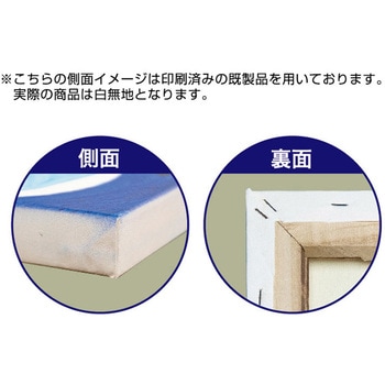 キャンバス 白無地 P・O・Pプロダクツ