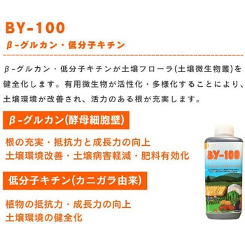 BY-100 BY-S セット ベイシン貿易