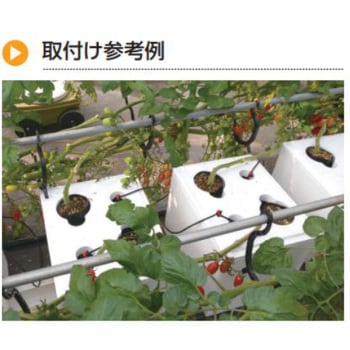Tokisora 遺骨ペンダント 防水 刻印 遺骨リング