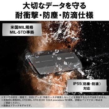PC用 USB3.2(Gen2)対応 高速モデル TypeA-C BUFFALO(バッファロー)