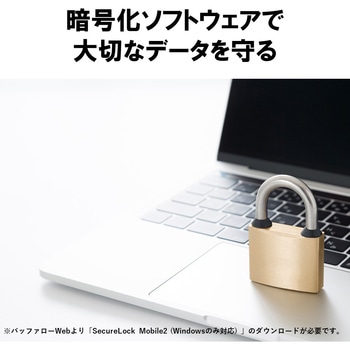 PC用 USB3.2(Gen2)対応 高速モデル TypeA-C BUFFALO(バッファロー)