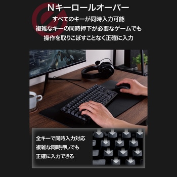キーボード 有線 メカニカル式(茶軸/タクタイル) コンパクトサイズ 日本語配列 テンキーレス Windows 11 対応 5000万回高耐久スイッチ採用 エレコム
