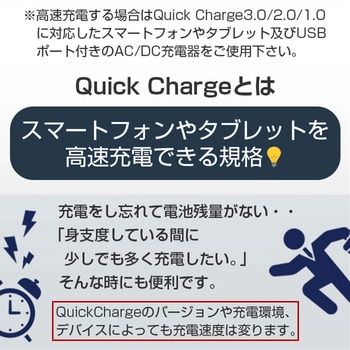発火を防ぐPTC TYPE-Cケーブル エアージェイ