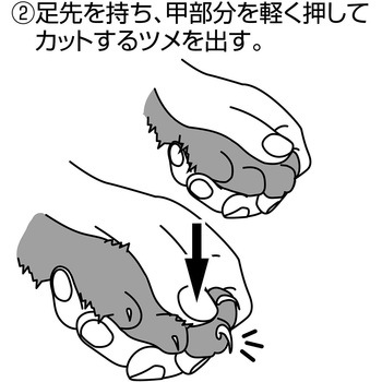SelfTrimmer スパッと素早く切れる 2つの刃先の猫用爪切り 日本製 Petio