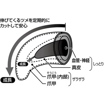 SelfTrimmer スパッと素早く切れる 犬用爪切り 日本製 Petio