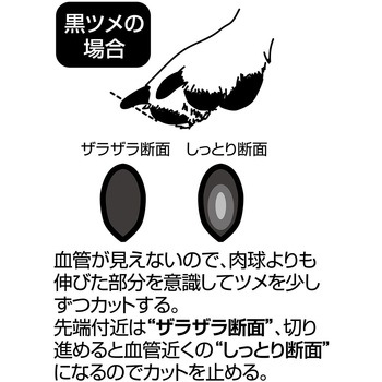 SelfTrimmer スパッと素早く切れる 犬用爪切り 日本製 Petio