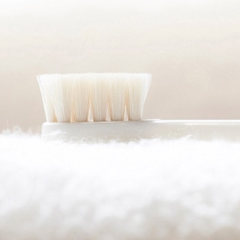 ミガケンデ 柔らかいヤギ植毛 小型犬用 MIGAKENDE