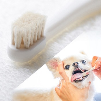 ミガケンデ 柔らかいヤギ植毛 小型犬用 MIGAKENDE